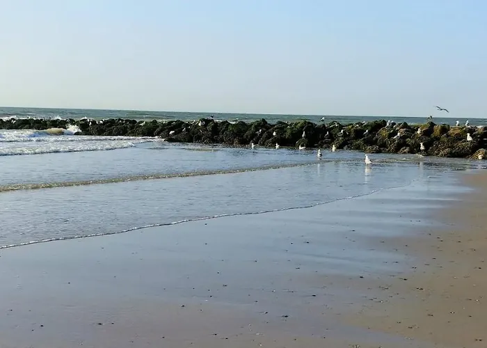 Sunny Bank Westende Zeezicht