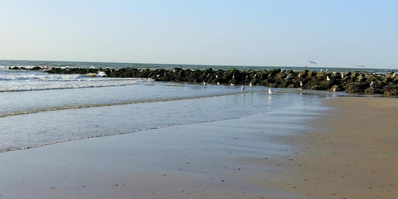 Sunny Bank Westende Zeezicht Appartement *