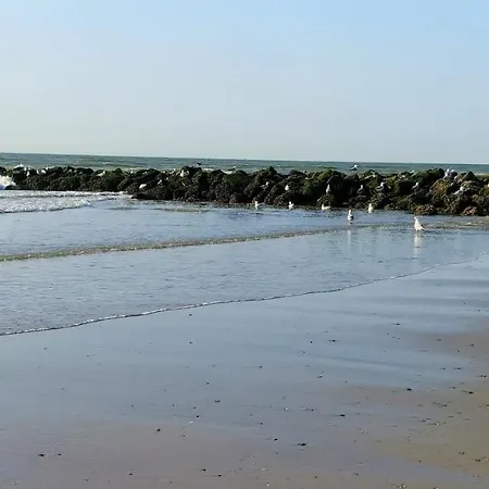 Sunny Bank Westende Zeezicht Middelkerke Extérieur photo